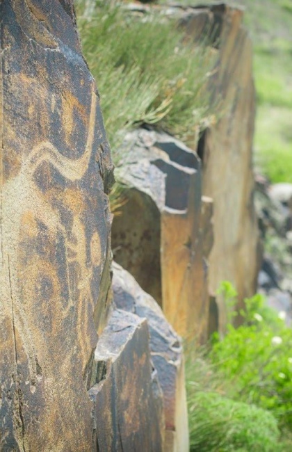Tanbaly Petroglyph Site Day Tour